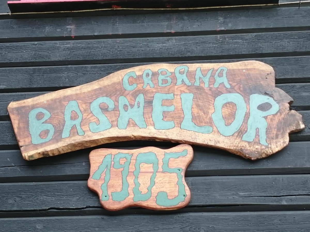 Лоджи Cabana Basmelor Rau Sadului-15