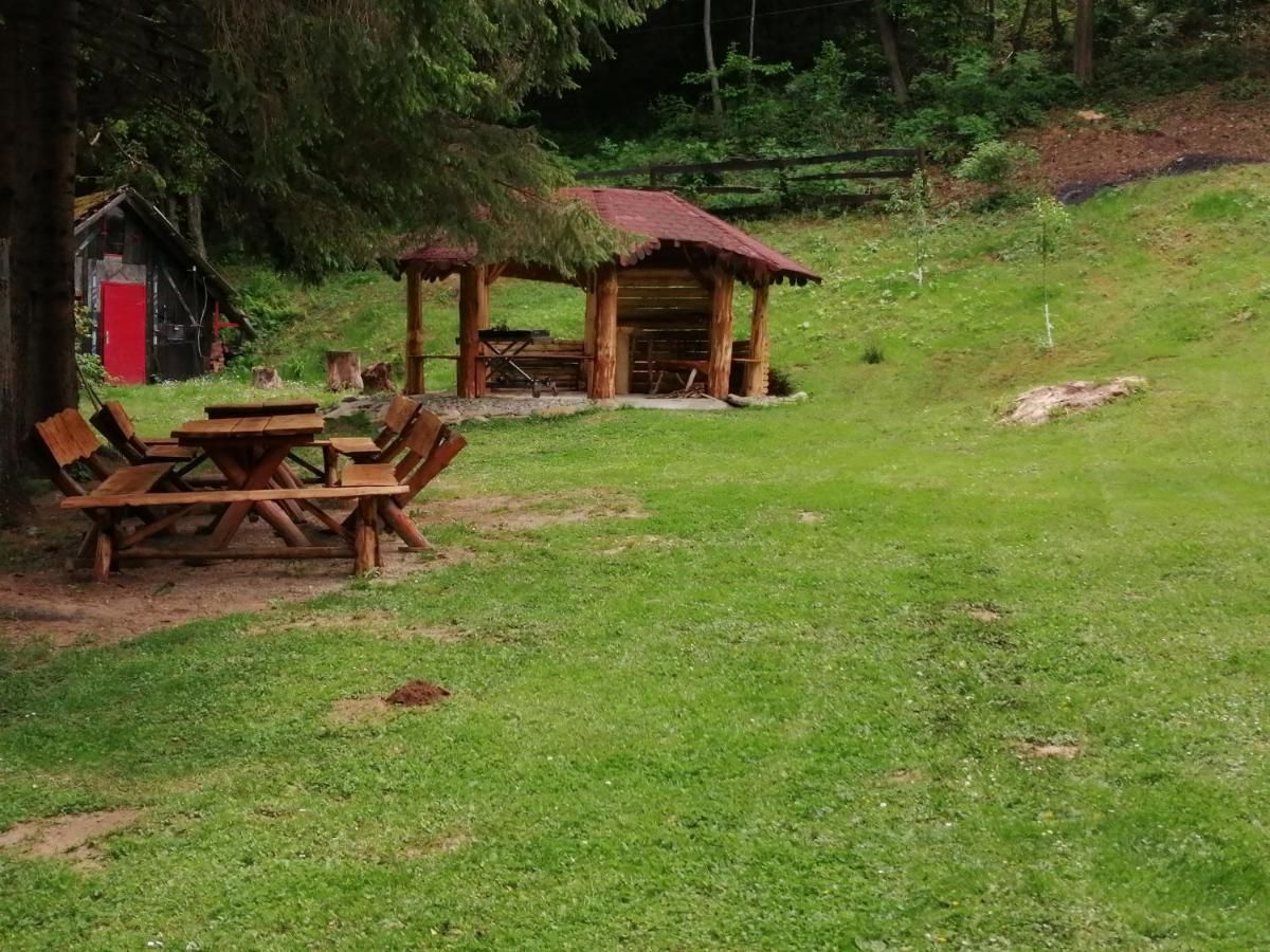 Лоджи Cabana Basmelor Rau Sadului-7