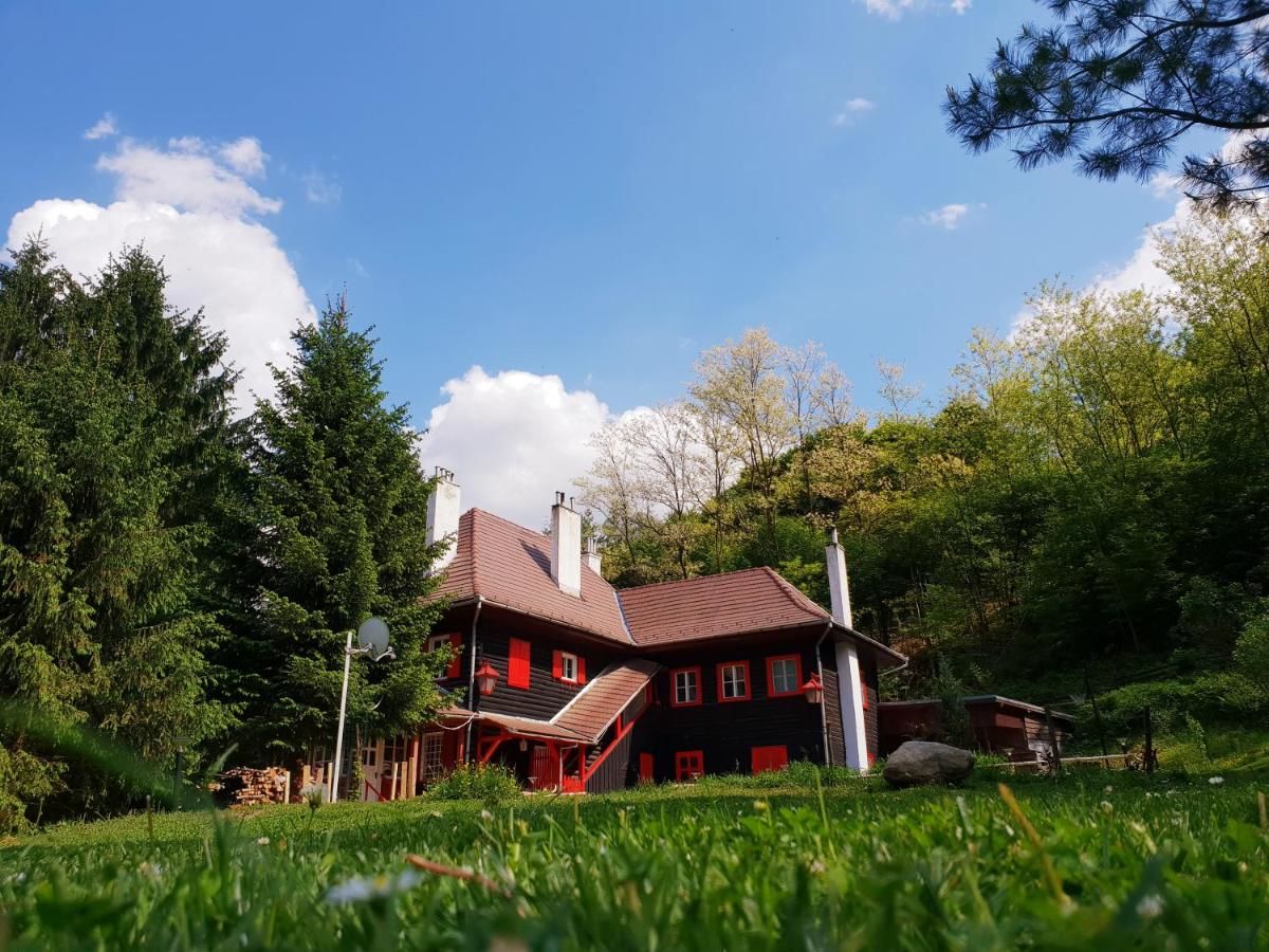 Лоджи Cabana Basmelor Rau Sadului-44