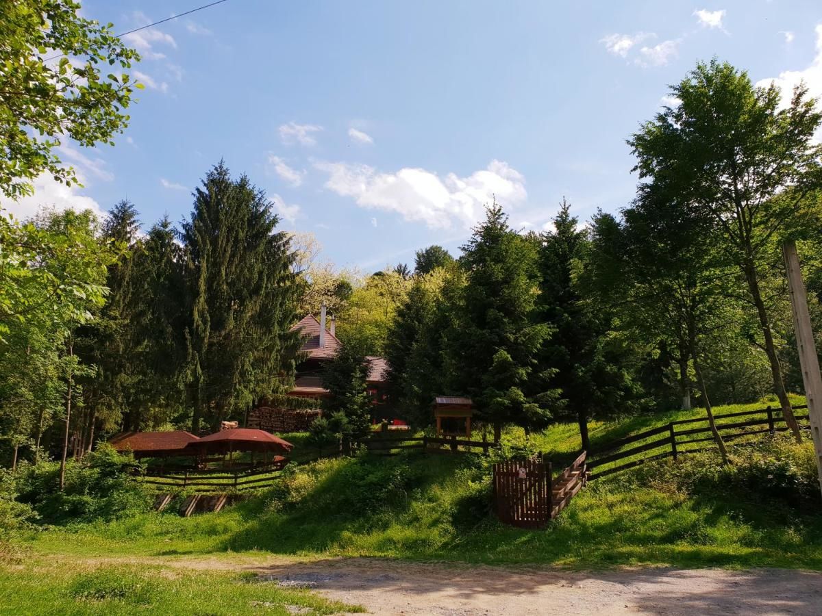 Лоджи Cabana Basmelor Rau Sadului-45