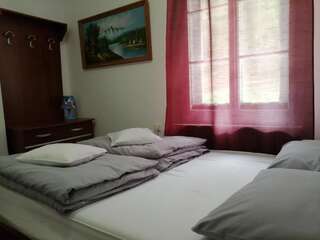 Лоджи Cabana Basmelor Rau Sadului Семейный люкс-1