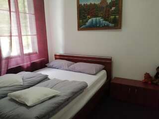 Лоджи Cabana Basmelor Rau Sadului Семейный люкс-2