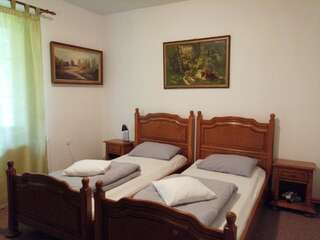 Лоджи Cabana Basmelor Rau Sadului Семейный люкс-4