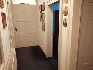 Лоджи Cabana Basmelor Rau Sadului Люкс с кроватью размера "queen-size"-5