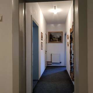 Лоджи Cabana Basmelor Rau Sadului Семейный люкс-7