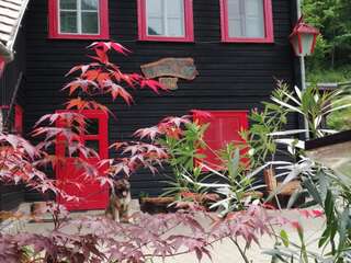 Лоджи Cabana Basmelor Rau Sadului-4