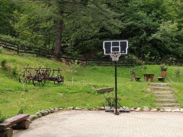 Лоджи Cabana Basmelor Rau Sadului-16