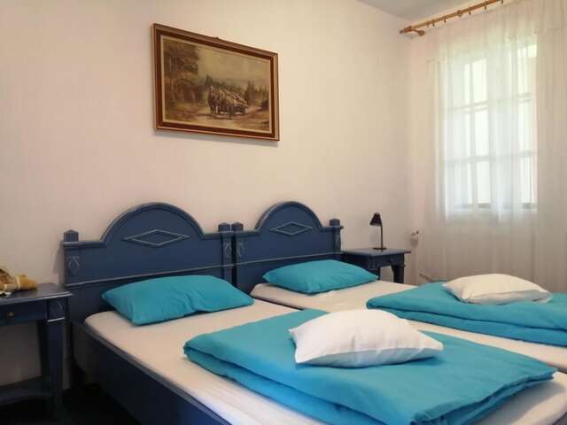 Лоджи Cabana Basmelor Rau Sadului-24