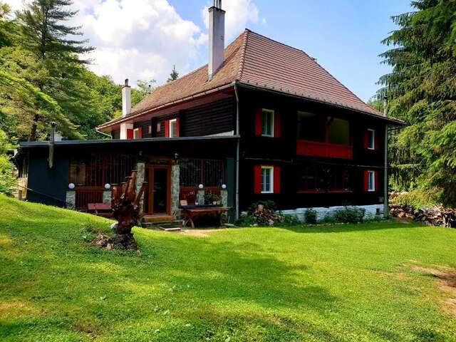 Лоджи Cabana Basmelor Rau Sadului-36