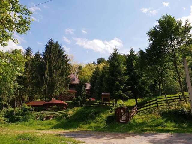 Лоджи Cabana Basmelor Rau Sadului-44