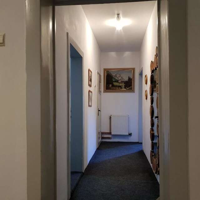 Лоджи Cabana Basmelor Rau Sadului-47