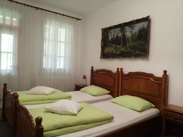 Лоджи Cabana Basmelor Rau Sadului-50